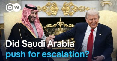 Report: Saudi Arabia urges US to press on with the Iran war | DW News