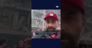Rescue workers look for victims in rubble in Tehran | DW News