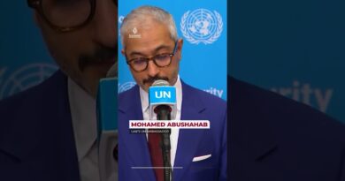 Saudi Arabia and UAE condemn Iranian attacks