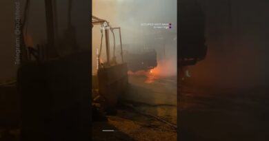 Settlers burn vehicles in town near Hebron | AJ #shorts