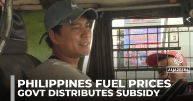 Soaring fuel prices in the Philippines: Government tries to mitigate the impact