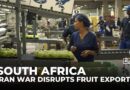 South African fruit exports face delays as Iran war disrupts global shipping routes