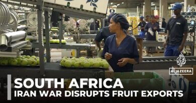 South African fruit exports face delays as Iran war disrupts global shipping routes