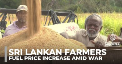 Sri Lankans brace for fuel price increase: Farmers face higher production costs