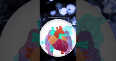 Stress and a healthy heart | DW Documentary