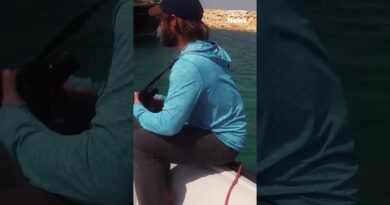 Swimming in the Strait of Hormuz