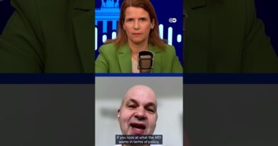 The AfD paradox: Policies likely to hurt voter base most | Berlin Briefing Podcast