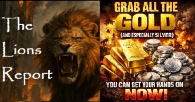 The Chain Reaction… How a Credit Meltdown Spreads. Mannarino