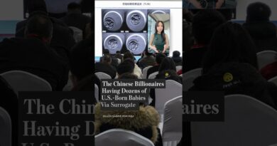 The Chinese Billionaires Having Dozens of U.S.-Born Babies