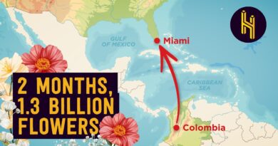 The Crazy-Fast Logistics of Flower Distribution