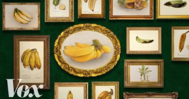 The most interesting fruit in the world could go extinct