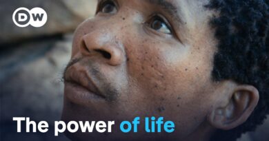 The story of our planet, retold | DW Documentary