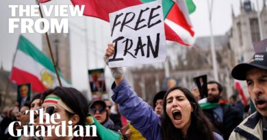 ‘They are brainwashed’: Iranian diaspora clash over Middle East war | The View From