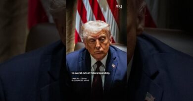 This Tax Nerd Bet His Life Savings Against DOGE