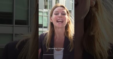 Trump ‘pausing’ plan to destroy Iranian power plants for 10 days | AJ #shorts