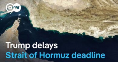 Trump postpones his Strait of Hormuz deadline for Iran | DW News