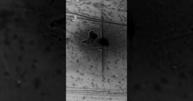 Trump posts bombing video after saying US hit Kharg Island | AJ #shorts