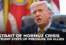Trump says Hormuz Strait help ‘on the way’ as allies reject military action