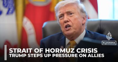 Trump says Hormuz Strait help ‘on the way’ as allies reject military action