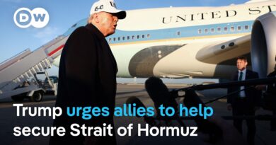 Trump wants allies to send war ships to the Strait of Hormuz | DW News
