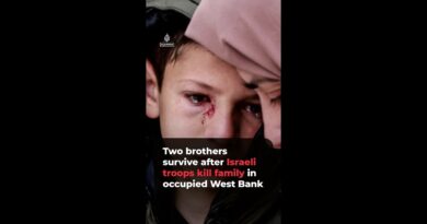 Two brothers survive after Israeli troops kill family in occupied West Bank | AJ#shorts