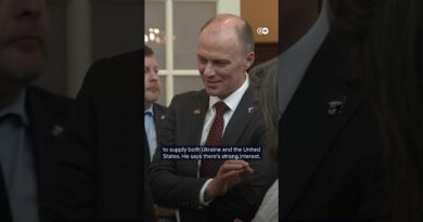 Ukraine pitches US a “drone deal,” says Zelenskyy | DW News