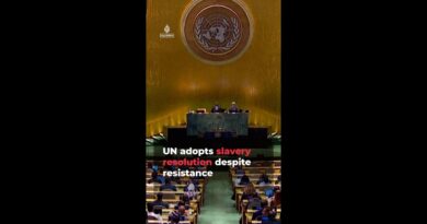 UN adopts slavery resolution despite resistance | AJ #shorts
