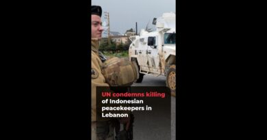 UN condemns killing of Indonesian peacekeepers in Lebanon | #ajshorts