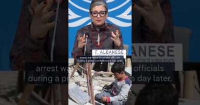 UN expert accuses Israel of turning torture into state policy | DW News