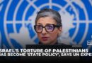 UN rapporteur Albanese says Israel’s torture of Palestinians has become ‘state policy’