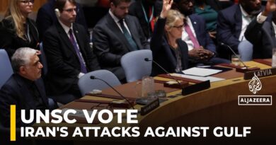 UN Security Council adopts Gulf countries draft resolution