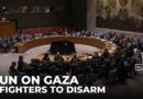 UN Security Council meeting: Armed groups in Gaza expected to lay down weapons