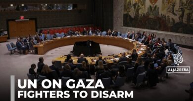 UN Security Council meeting: Armed groups in Gaza expected to lay down weapons