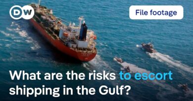 US ‘not ready’ to escort oil tankers through Strait of Hormuz | DW News