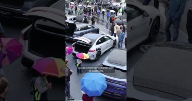 VW just lost HALF its profit. What happened? | DW News