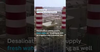 Water used as weapon in Iran war? | DW News