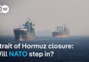 What can Europe do to reopen the Strait of Hormuz? | DW News