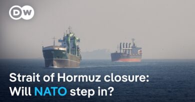 What can Europe do to reopen the Strait of Hormuz? | DW News