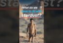 What do we have to do with stardust? | DW Documentary