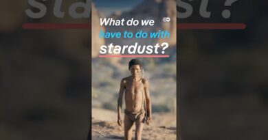 What do we have to do with stardust? | DW Documentary