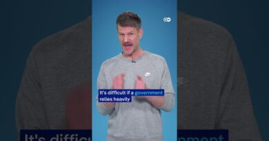 What role did AI play in the US’s first strike on Iran? | DW Digital