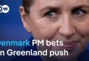 What’s at stake in Denmark’s snap elections? | DW News