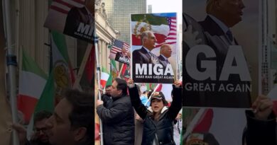 Who Is Reza Pahlavi? What We Know About His Plan for Iran