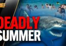Why Bull Sharks Are Attacking Sydney Swimmers | The Brief