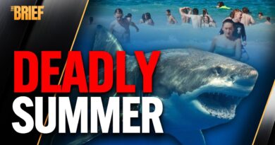 Why Bull Sharks Are Attacking Sydney Swimmers | The Brief