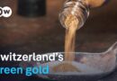 Why gold prospectors in Switzerland extract gold from gravel pits | Focus on Europe