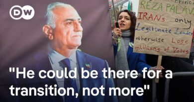 Why Pahlavi is probably not the person to lead Iran | DW News