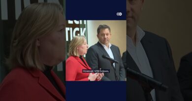 Why the German far right is celebrating again | DW News