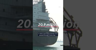 Why the Iran clash has put the focus on the Strait of Hormuz? | DW News