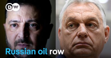 Why Ukraine and Hungary are fighting over Russian oil | DW News